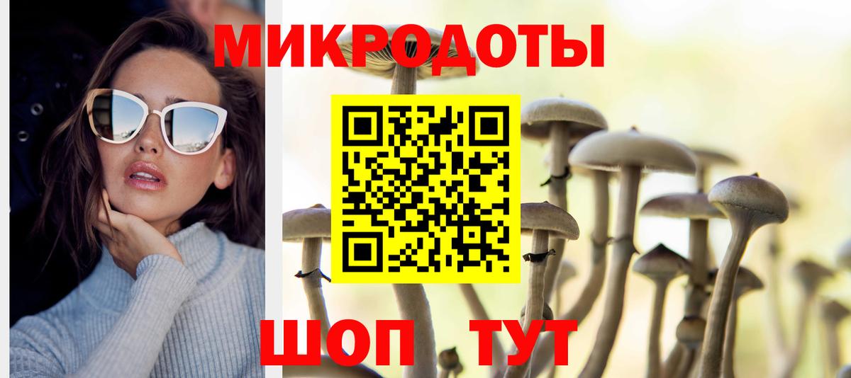 Псилоцибиновые грибы MAGIC MUSHROOMS  Галлюциногенные грибы Cubensis  Черкесск  Вход с VPN 