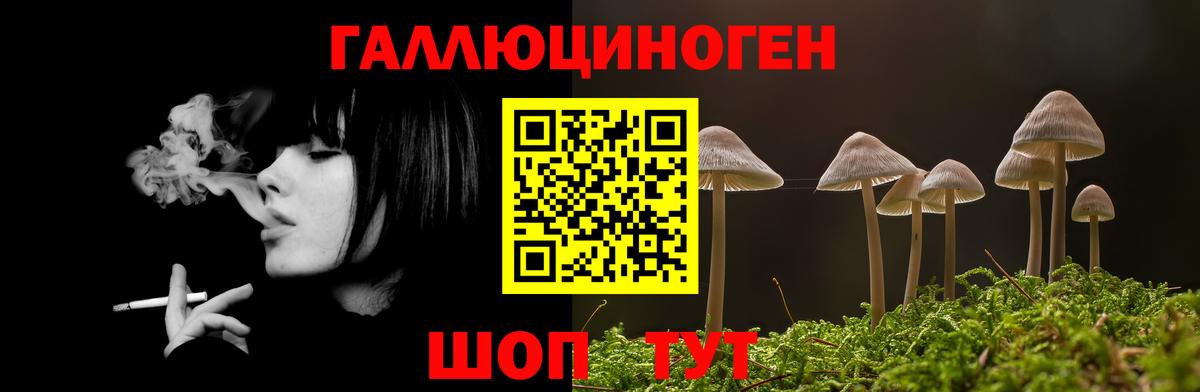 Псилоцибиновые грибы GOLDEN TEACHER Черкесск
