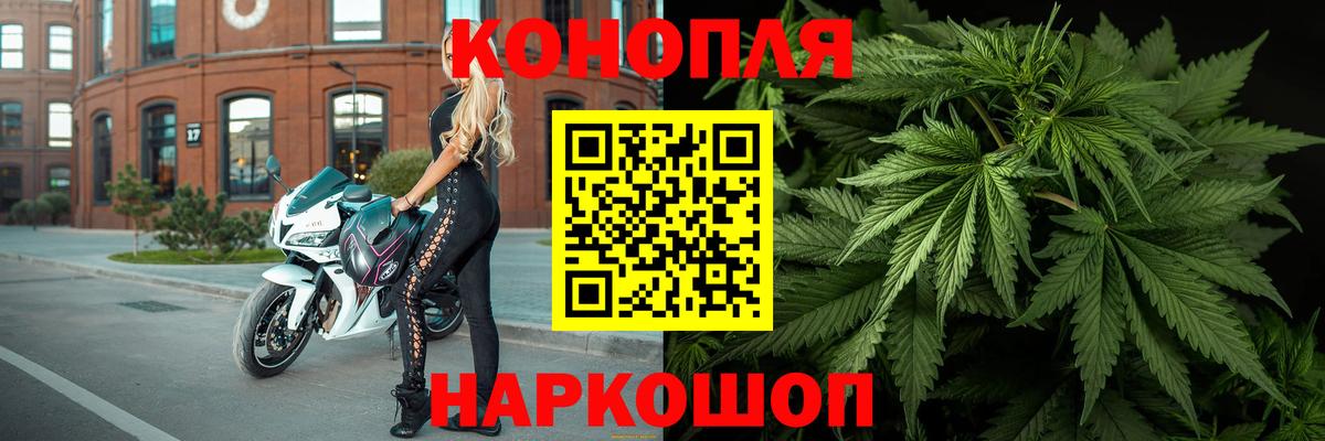 Бошки Шишки конопля Черкесск